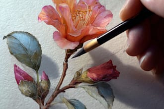 draw realistic botanical illustration