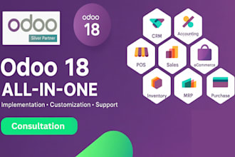 be your odoo technical functional consultant