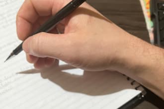 critical and professional reading of the plot