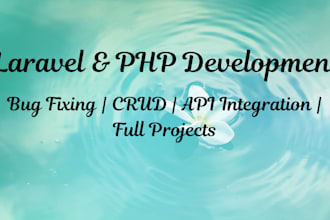 develop or fix laravel applications professionally