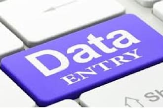 data entry using microsoft office