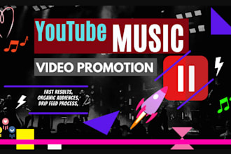 do professional youtube music promotion and beatport promotion
