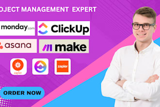 be your project management app expert for setup, automation, and productivity