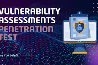 perform vulnerability assessment penetration testing on your web application