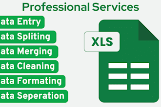 do data excel data cleaning and formating