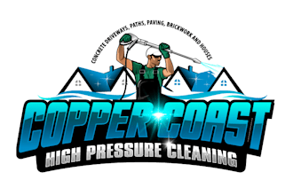 design a unique pressure cleaning logo unlimited revision