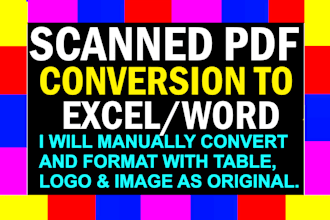 do scanned pdf to excel conversion, image to text documents, data entry typing