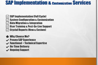 provide sap b1 support