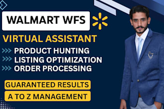 be your walmart dropshipping expert, walmart wfs