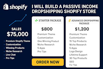build a professional shopify dropshipping store for passive income