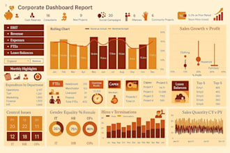 build custom google sheets dashboard with data visualization and KPI tracking