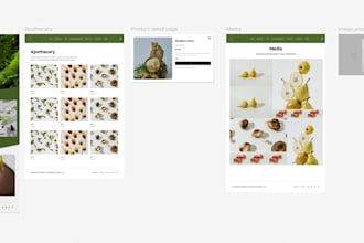 build a shopify website