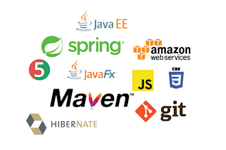 provide expert java development and consulting services