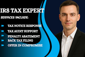 professionally respond to irs letters, tax audits, and remove tax penalties
