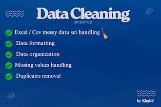 be your expert data cleaner and provide professional data cleaning