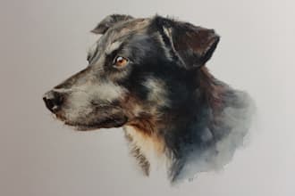 draw watercolor pet portrait