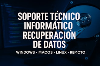 provide professional IT support and data recovery services