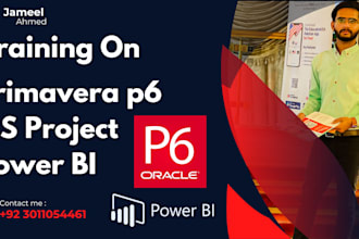 train you in primavera p6 scheduling and power bi reporting