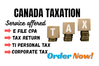 file canadian taxes personal tax t1 and business tax t2