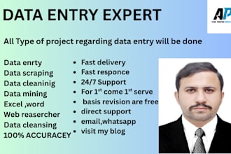 provide 100 accurate data entry services with quick delivery