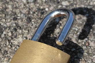 audit your website security
