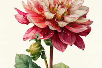 paint watercolor botanical illustrations