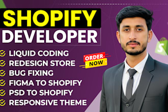 be shopify liquid developer, custom code, shopify redesign