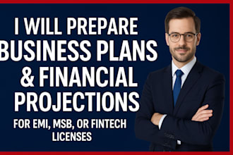 prepare business plans and financial projections for emi, msb, or fintech licens
