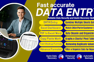 do efficient data entry, copy paste, web scraping, and PDF to excel tasks