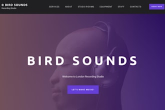 build wordpress site for music teacher private tutor services