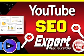 be your youtube video SEO expert to boost video rankings