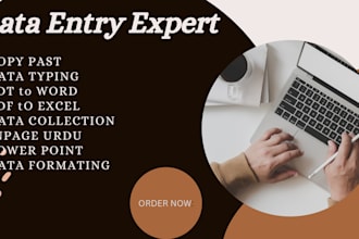 do data entry, PDF to word,PDF to excel and  inpage urdu