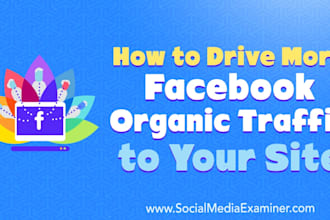 do organic website promotion and increase traffic