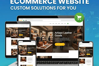 design and build a professional custom software