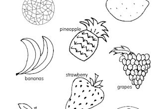 design worksheets and class activities for teachers