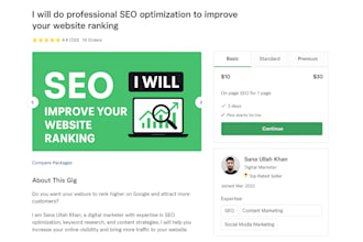 do professional SEO optimization
