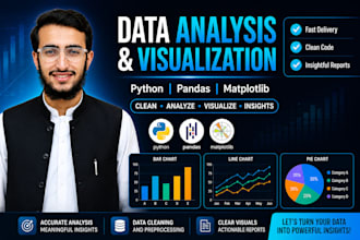 transform raw data into clear python visualizations using pandas and matplotlib