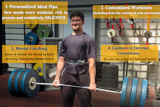 create personalized online workout plans for home or gym