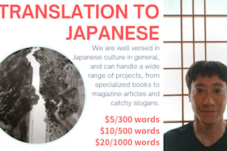 translate your text to japanese