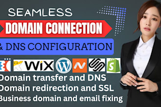 do domain connection, transfer domain, create sub domain email setup to website