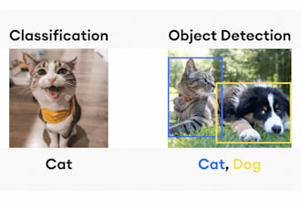 do object detection, image classification, face recognition and image generation
