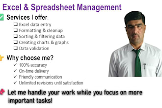do excel data entry, cleaning, and formatting