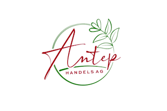 design leading swiss wholesale company logo