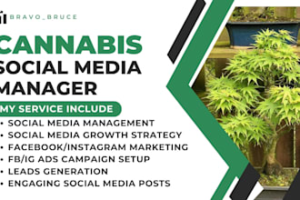 your cannabis cbd marijuana brand social media marketing manager content creator