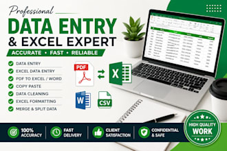 data entry, clean, merge, format, split exceldata