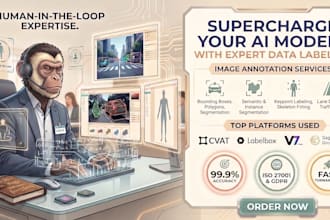 deliver accurate image annotation bounding boxes, and data labeling services