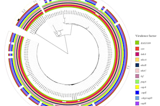 analyze genomic sequencing data with bioinformatics tools