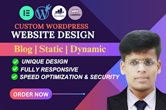 do website development, wordpress blog design as wordpress website developer