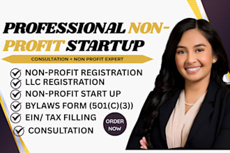 setup llc and nonprofit startup consulting with 501c3 ein and bylaws assistance
