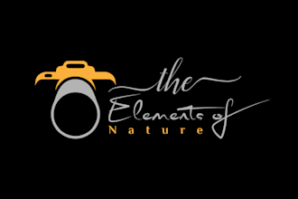 design a professional photography logo for your brand or studio
